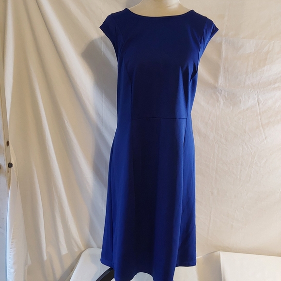 Ashley Stewart Dresses & Skirts - Ashley Stewart's Women  Cap Sleeve Blue Sheath Dress Stretch Size 22/24